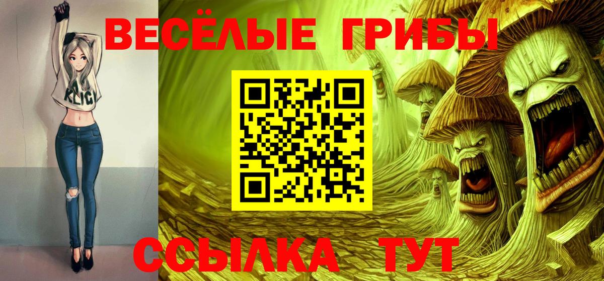 Псилоцибиновые грибы MAGIC MUSHROOMS Кольчугино